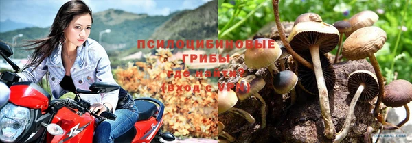 герыч Алексин